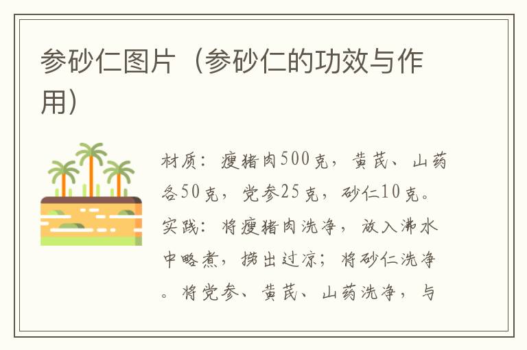 参砂仁图片(参砂仁的功效与作用)