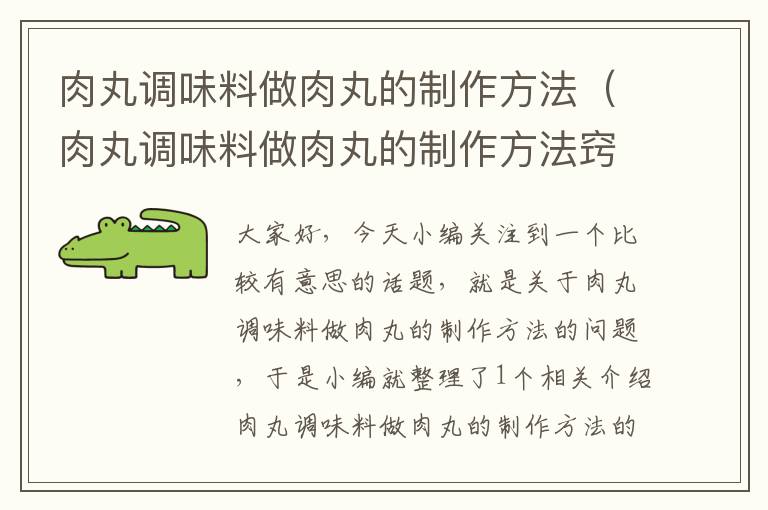 肉丸调味料做肉丸的制作方法(肉丸调味料做肉丸的制作方法窍门)