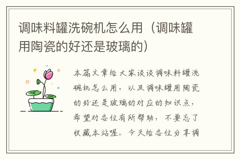 调味料罐洗碗机怎么用(调味罐用陶瓷的好还是玻璃的)