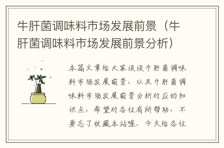 牛肝菌调味料市场发展前景(牛肝菌调味料市场发展前景分析)