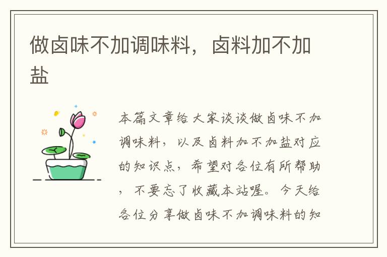 做卤味不加调味料,卤料加不加盐