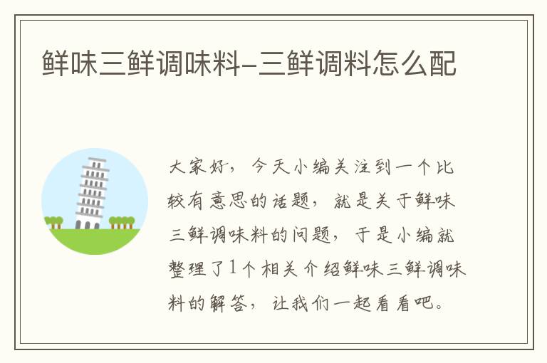 鲜味三鲜调味料-三鲜调料怎么配