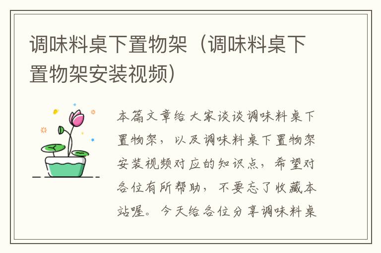 调味料桌下置物架(调味料桌下置物架安装视频)