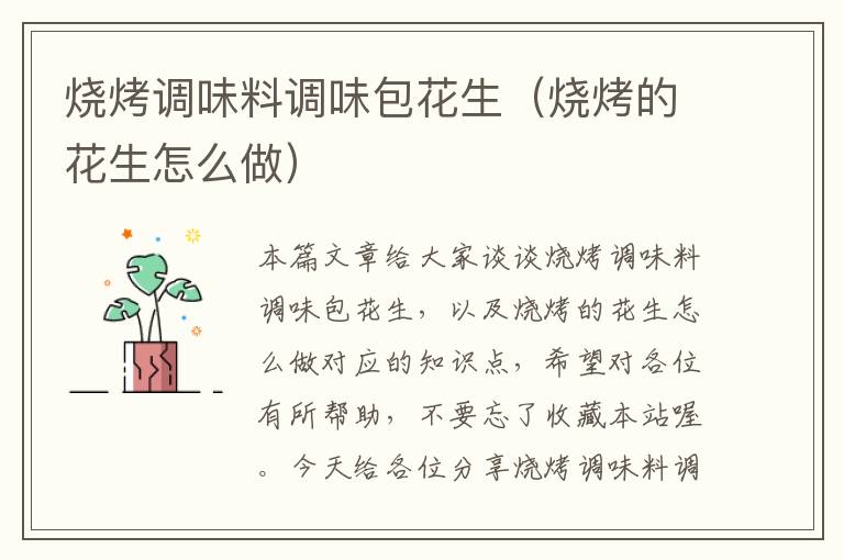 烧烤调味料调味包花生(烧烤的花生怎么做)