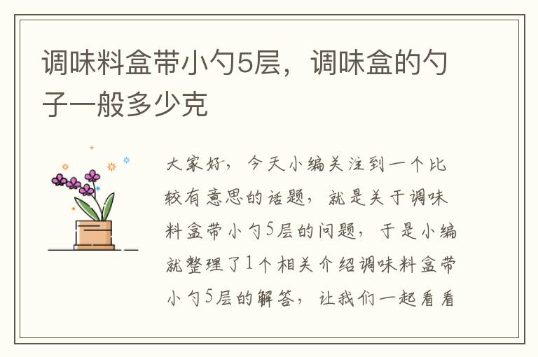 调味料盒带小勺5层,调味盒的勺子一般多少克