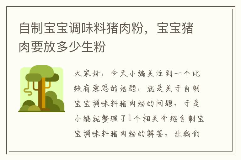 自制宝宝调味料猪肉粉,宝宝猪肉要放多少生粉