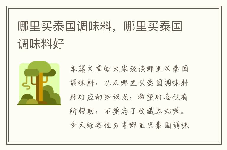 哪里买泰国调味料,哪里买泰国调味料好