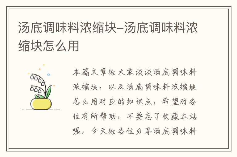 汤底调味料浓缩块-汤底调味料浓缩块怎么用