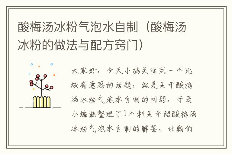 酸梅汤冰粉气泡水自制(酸梅汤冰粉的做法与配方窍门)