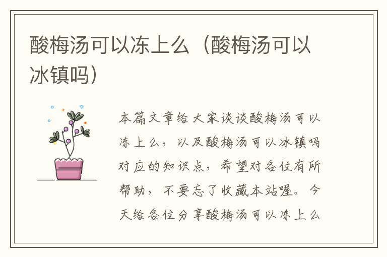 酸梅汤可以冻上么(酸梅汤可以冰镇吗)