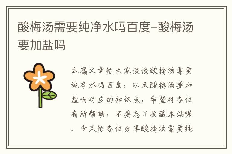 酸梅汤需要纯净水吗百度-酸梅汤要加盐吗