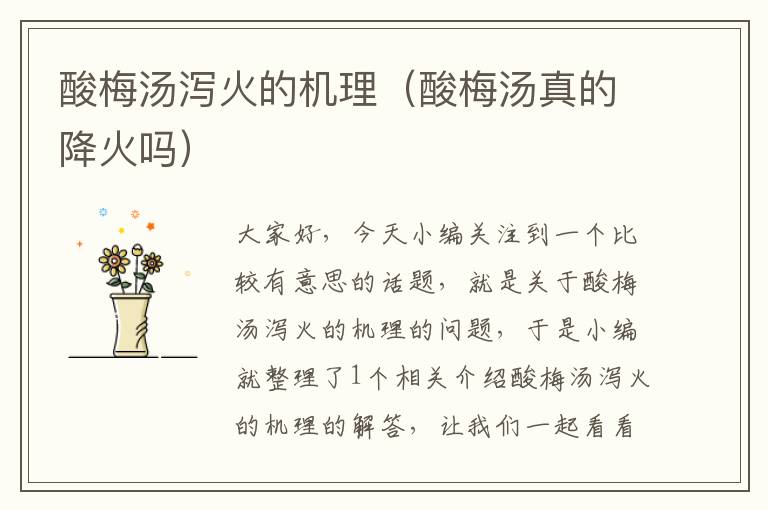 酸梅汤泻火的机理(酸梅汤真的降火吗)