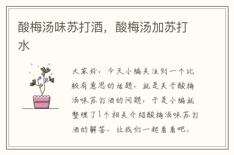 酸梅汤味苏打酒,酸梅汤加苏打水