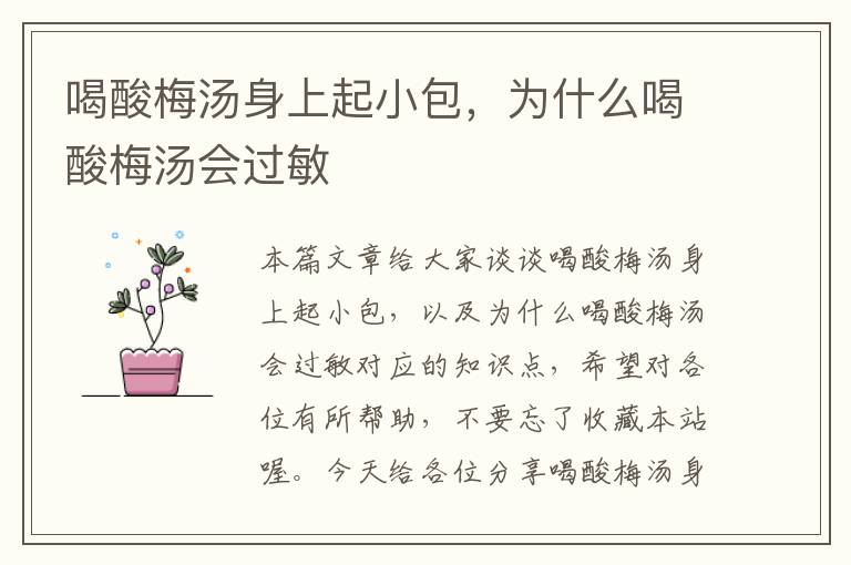 喝酸梅汤身上起小包,为什么喝酸梅汤会过敏