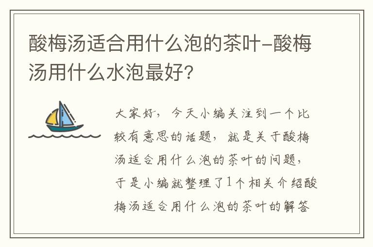 酸梅汤适合用什么泡的茶叶-酸梅汤用什么水泡最好?