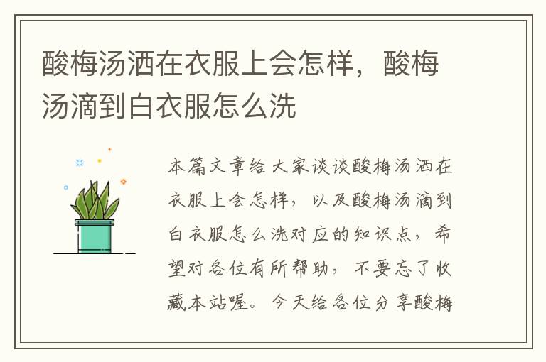 酸梅汤洒在衣服上会怎样,酸梅汤滴到白衣服怎么洗