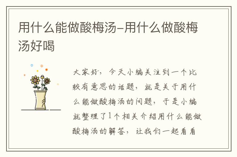 用什么能做酸梅汤-用什么做酸梅汤好喝