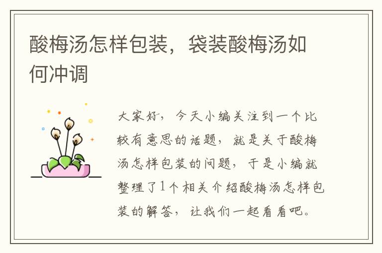 酸梅汤怎样包装,袋装酸梅汤如何冲调