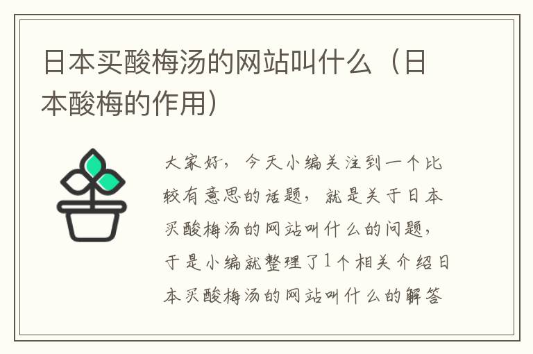 日本买酸梅汤的网站叫什么(日本酸梅的作用)