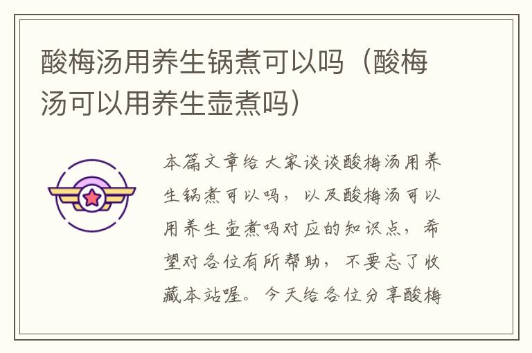 酸梅汤用养生锅煮可以吗(酸梅汤可以用养生壶煮吗)