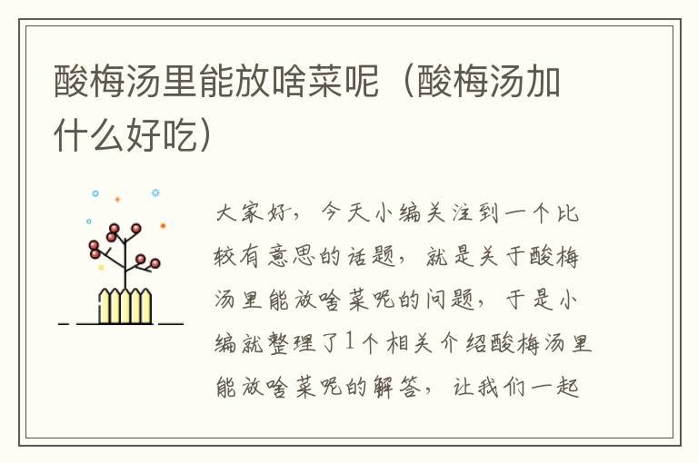 酸梅汤里能放啥菜呢(酸梅汤加什么好吃)