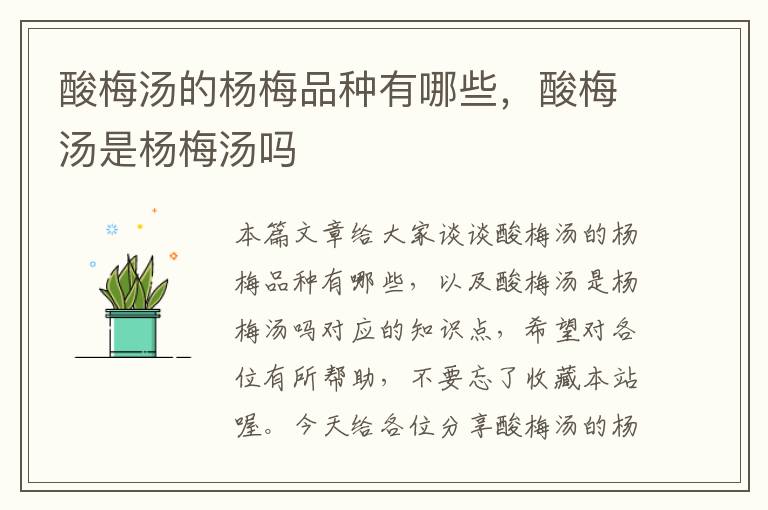 酸梅汤的杨梅品种有哪些,酸梅汤是杨梅汤吗
