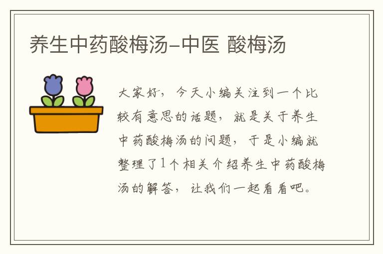 养生中药酸梅汤-中医 酸梅汤