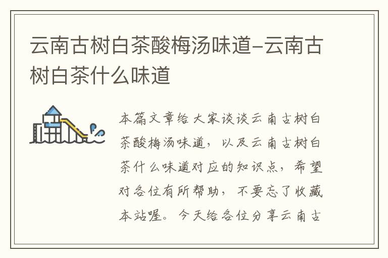 云南古树白茶酸梅汤味道-云南古树白茶什么味道