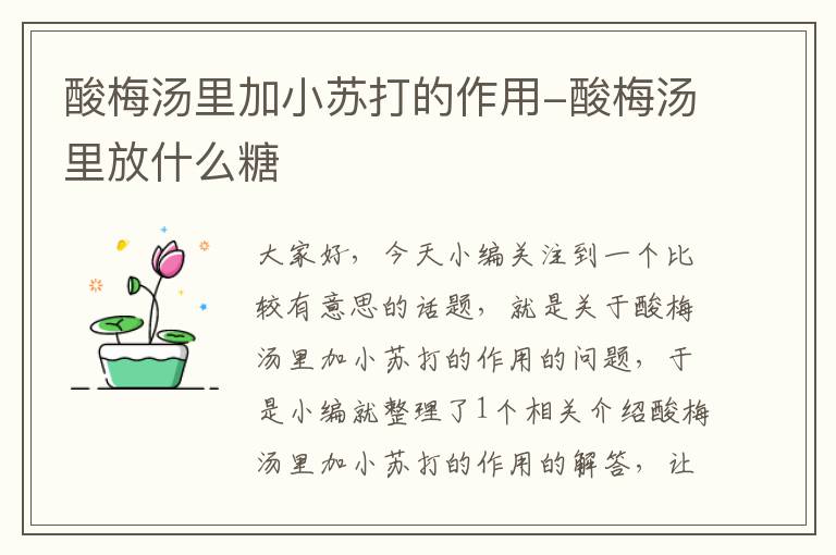 酸梅汤里加小苏打的作用-酸梅汤里放什么糖