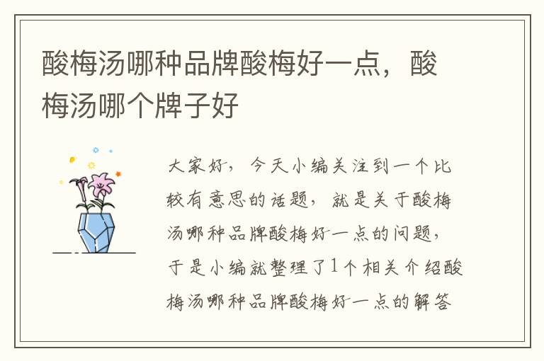 酸梅汤哪种品牌酸梅好一点,酸梅汤哪个牌子好
