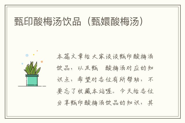 甄印酸梅汤饮品(甄嬛酸梅汤)