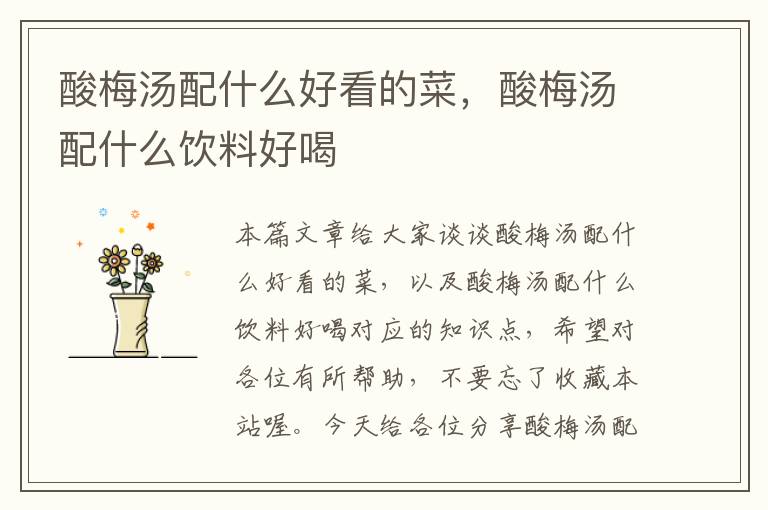 酸梅汤配什么好看的菜,酸梅汤配什么饮料好喝