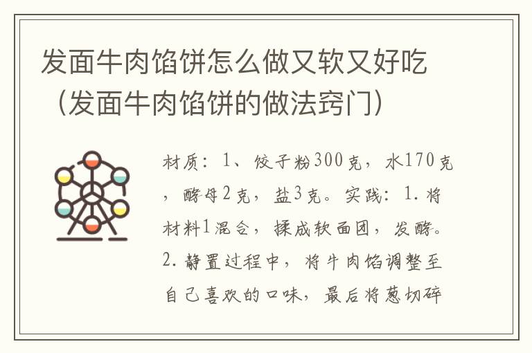 发面牛肉馅饼怎么做又软又好吃(发面牛肉馅饼的做法窍门)