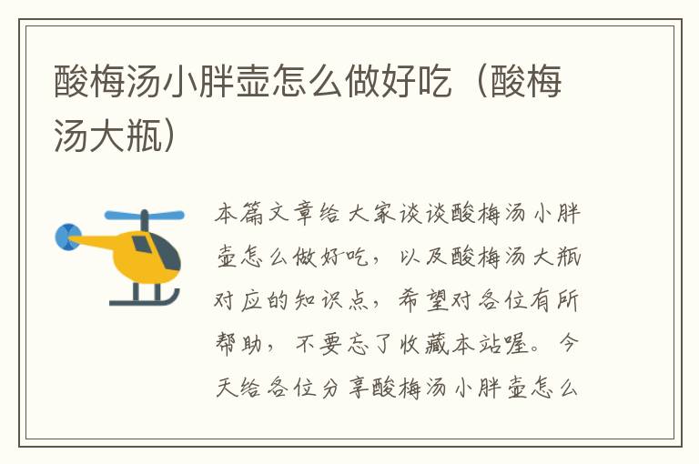 酸梅汤小胖壶怎么做好吃(酸梅汤大瓶)