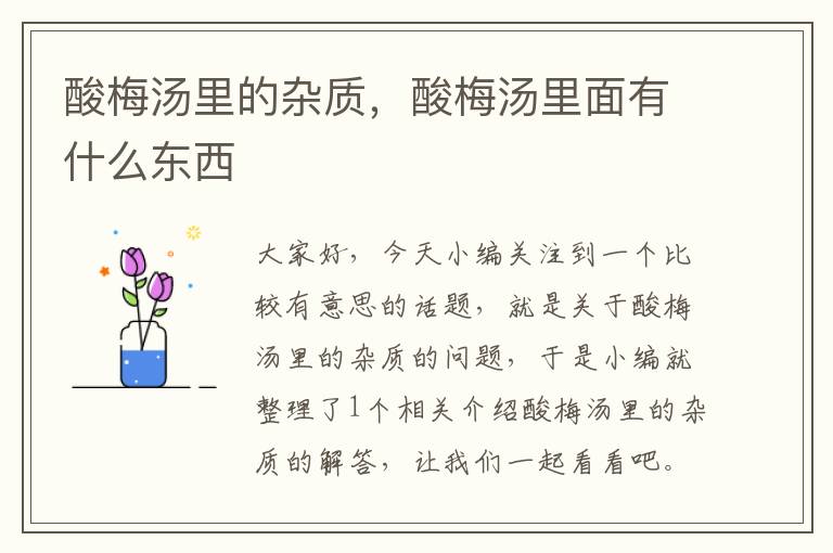 酸梅汤里的杂质,酸梅汤里面有什么东西