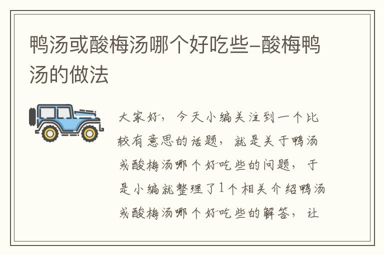 鸭汤或酸梅汤哪个好吃些-酸梅鸭汤的做法