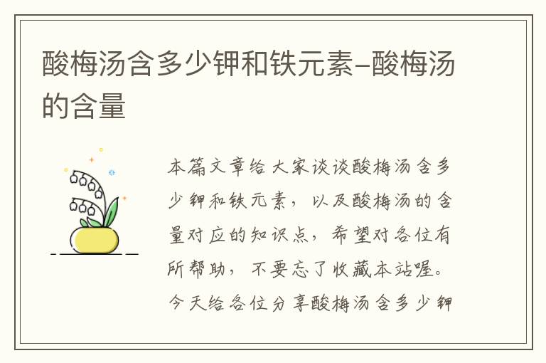 酸梅汤含多少钾和铁元素-酸梅汤的含量