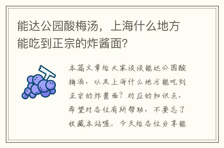 能达公园酸梅汤,上海什么地方能吃到正宗的炸酱面?