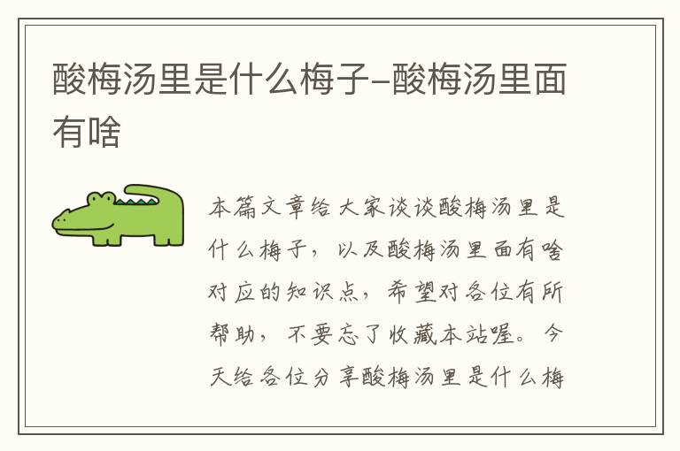 酸梅汤里是什么梅子-酸梅汤里面有啥