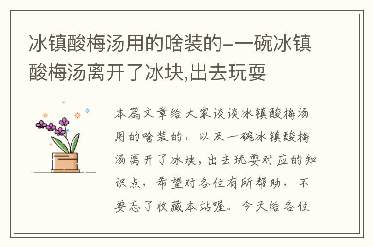 冰镇酸梅汤用的啥装的-一碗冰镇酸梅汤离开了冰块,出去玩耍