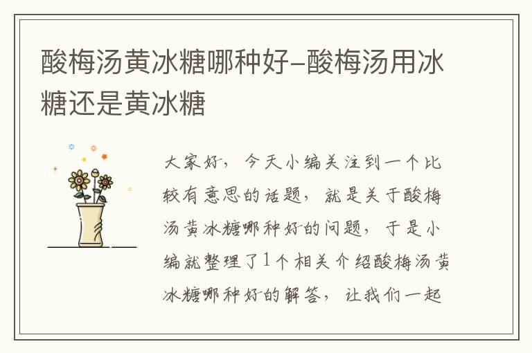 酸梅汤黄冰糖哪种好-酸梅汤用冰糖还是黄冰糖