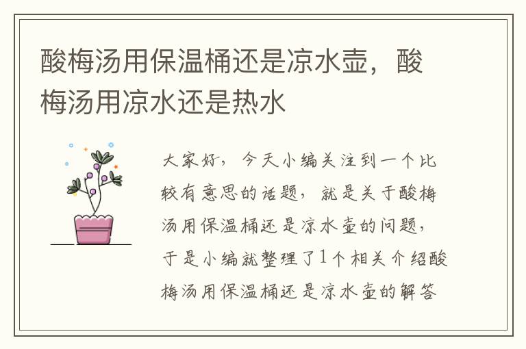 酸梅汤用保温桶还是凉水壶,酸梅汤用凉水还是热水