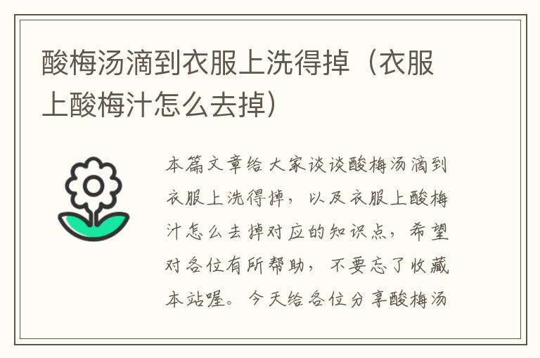 酸梅汤滴到衣服上洗得掉(衣服上酸梅汁怎么去掉)