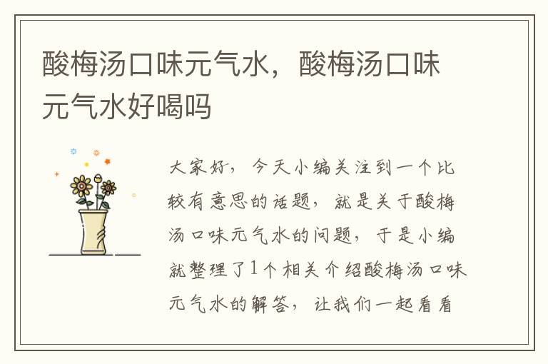 酸梅汤口味元气水,酸梅汤口味元气水好喝吗