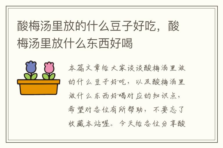 酸梅汤里放的什么豆子好吃,酸梅汤里放什么东西好喝
