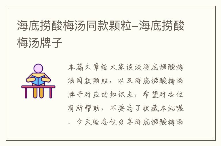 海底捞酸梅汤同款颗粒-海底捞酸梅汤牌子