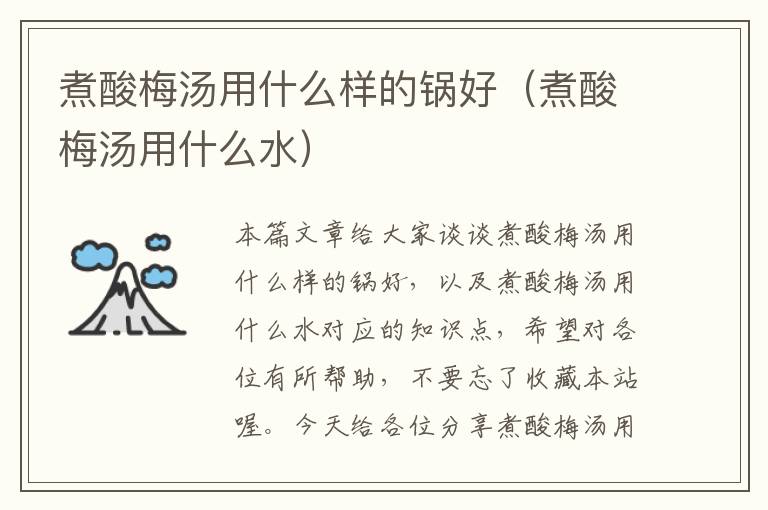 煮酸梅汤用什么样的锅好(煮酸梅汤用什么水)