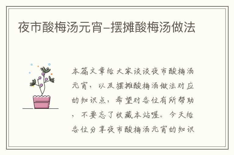 夜市酸梅汤元宵-摆摊酸梅汤做法