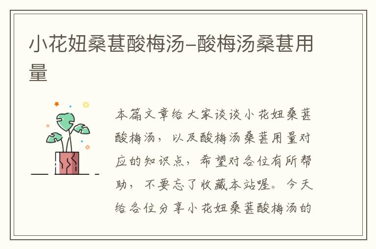 小花妞桑葚酸梅汤-酸梅汤桑葚用量