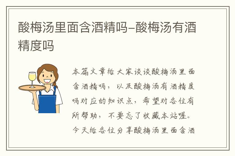 酸梅汤里面含酒精吗-酸梅汤有酒精度吗